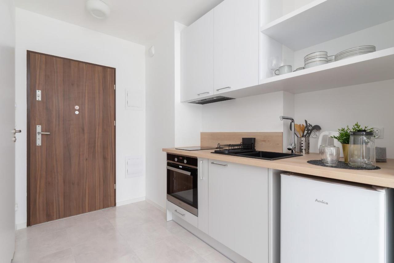 Elegant Pet-Friendly Studio In Krakow By Noclegi Renters エクステリア 写真